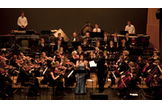 Sommerkonzert mit Gabriela Palikruscheva, Kultur- und Kongresshaus Aarau 2010 (Foto: Mayk Wendt)